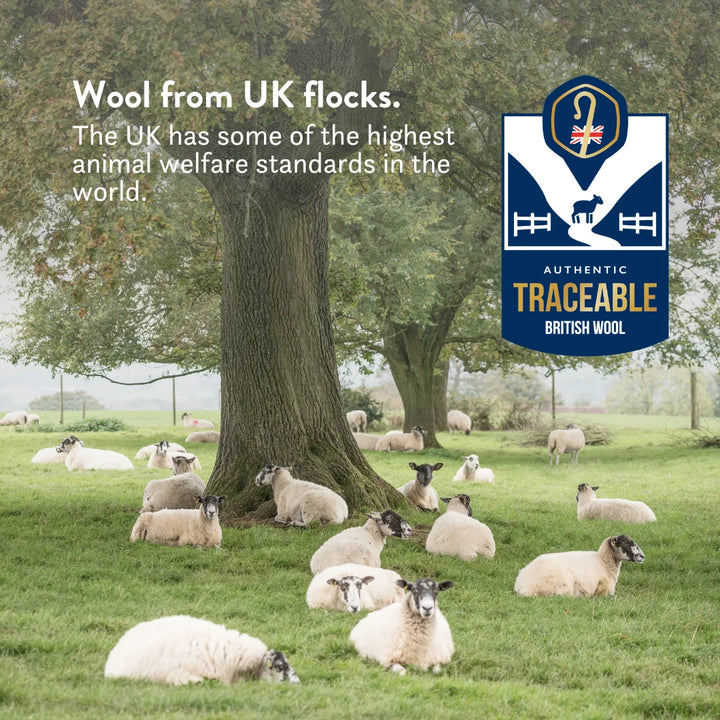 British Wool Duvet & Pillow Set - 100% cotton Bundle - hypoallergenic, natural OEKO tex standard 100, handmade in the UK, breathable, temperature regulating, anti-dust mite. Bedding set.