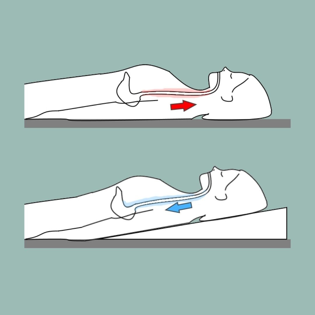 Respiratory, Pneumonia, Flu Bed Wedge Pillow - Putnams UK made